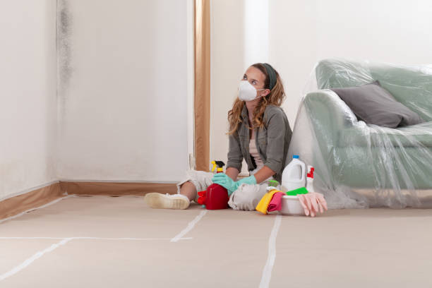 Reliable Mold Cleanup contractor in Manistee, MI by WQB Mold Removal